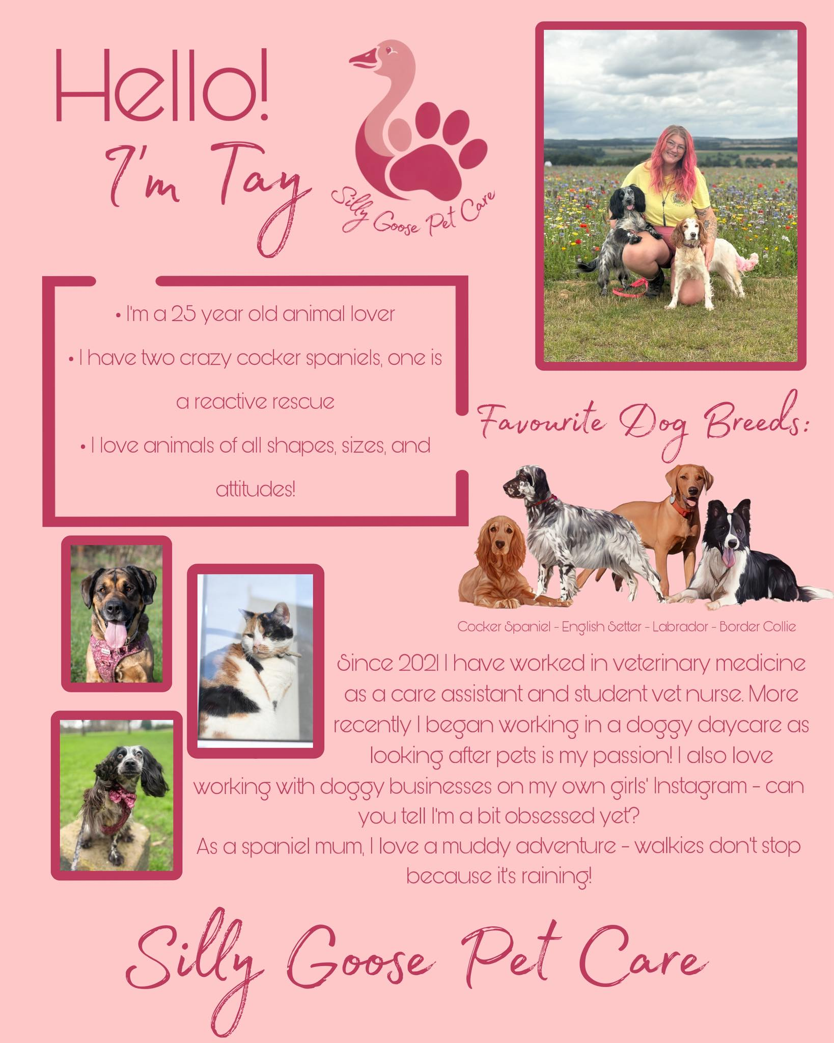 May be a doodle of dog and text